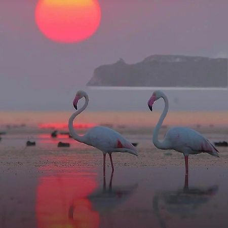 Suite Sardinia Holiday Cagliari Ngoại thất bức ảnh